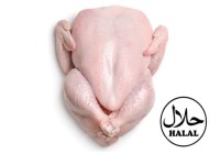 Quality Frozen Processed Chicken from Brazil