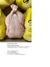 whole Chicken for export to Saudi Arabia, Brazil Frozen Chicken to Netherlands, Halal Frozen Chicken to Ghana