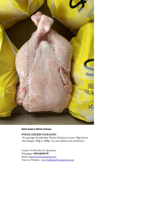 whole Chicken for export to Saudi Arabia, Brazil Frozen Chicken to Netherlands, Halal Frozen Chicken to Ghana