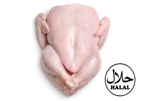 Frozen Whole Chicken Exporter to Japan, Brazil Chicken export to South Korea